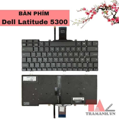 Thay Bàn phím laptop Dell Latitude 5300