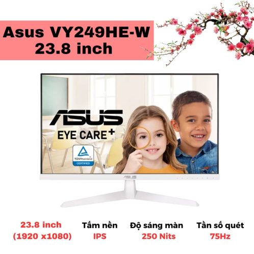 Màn hình Asus VY249HE-W 23.8 inch
