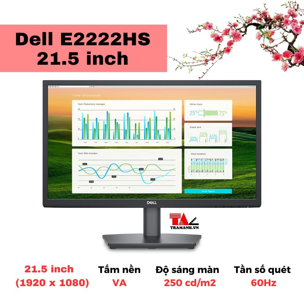 Màn hình Dell E2222HS 21.5 inch