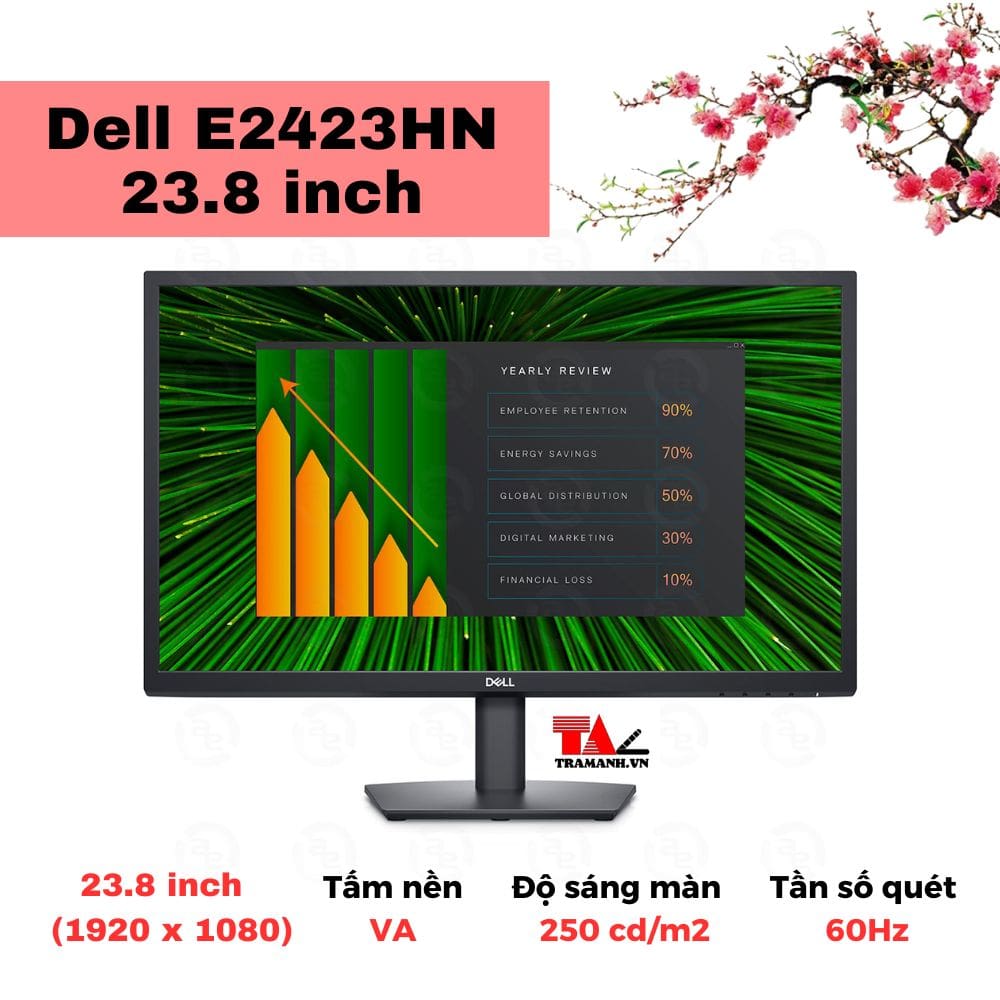 Màn hình Dell E2423HN 23.8 inch