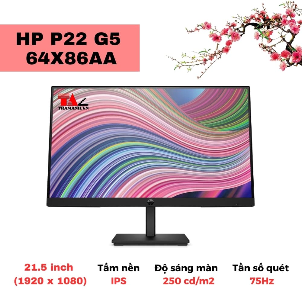 Màn hình HP P22 G5 64X86AA