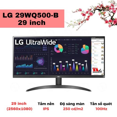 Màn hình LG 29WQ500-B 29 inch