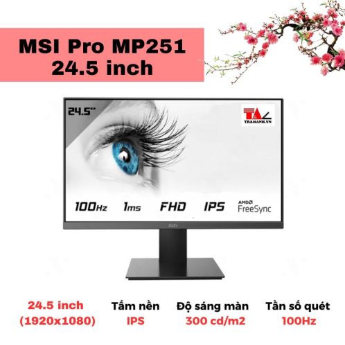 Màn hình MSI Pro MP251 24.5 inch