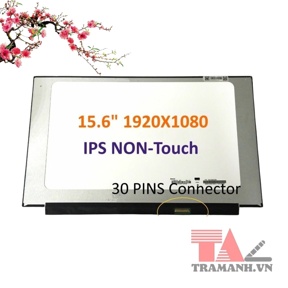 Màn hình Dell Latitude 3520 Màn hình Dell Latitude 3520